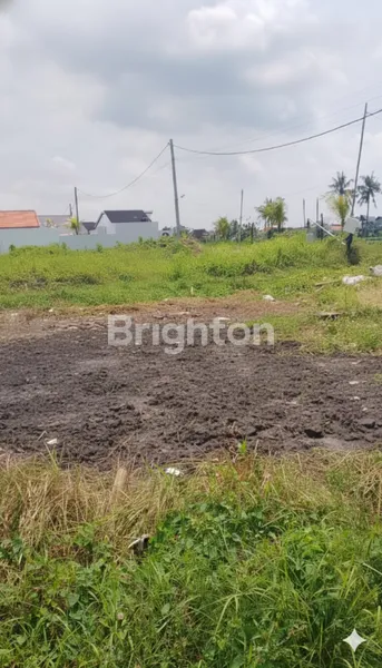 image PELUANG INVESTASI PREMIUM: LAHAN STRATEGIS DI JALAN UTAMA SESEH, BALI (2)