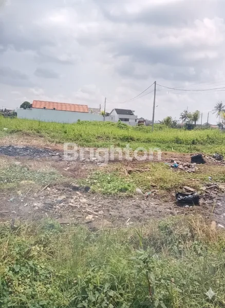 image PELUANG INVESTASI PREMIUM: LAHAN STRATEGIS DI JALAN UTAMA SESEH, BALI (1)