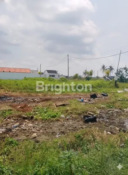 image PELUANG INVESTASI PREMIUM: LAHAN STRATEGIS DI JALAN UTAMA SESEH, BALI (4)