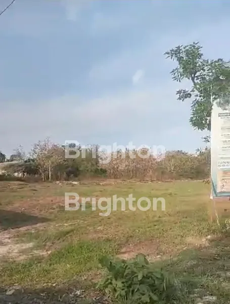 image TANAH DI JL RAYA BUNGAH GRESIK  (1)