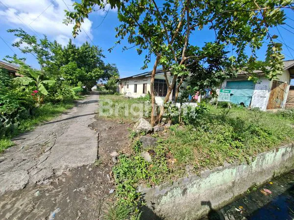 image JUAL TANAH JL RAWE II, MABAR (4)