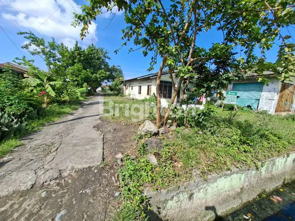 image JUAL TANAH JL RAWE II, MABAR (3)