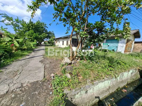 image JUAL TANAH JL RAWE II, MABAR (5)