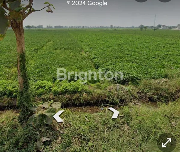 image TANAH MURAH DI PRAMBON SIDOARJO (2)