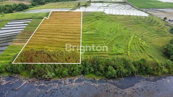 image RARE BEACHFRONT KELATING TABANAN (3)