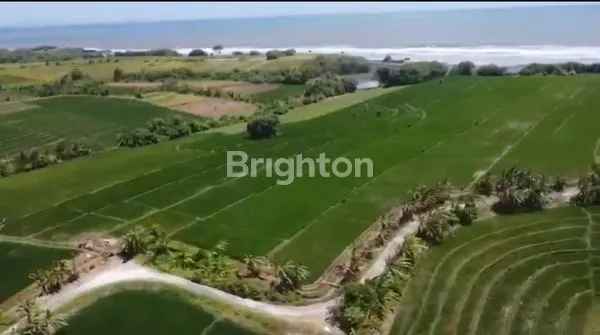 image BEACHFRONT PASUT BEACH TABANAN (3)