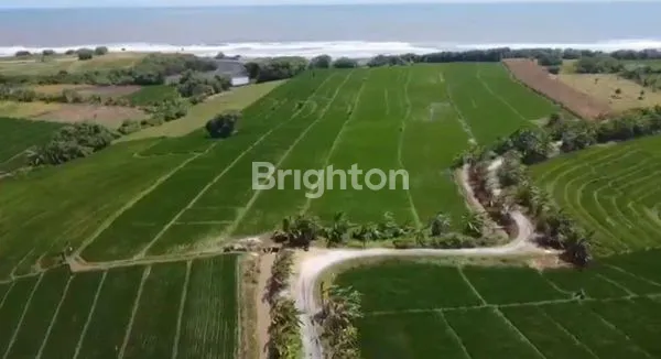 image BEACHFRONT PASUT BEACH TABANAN (2)