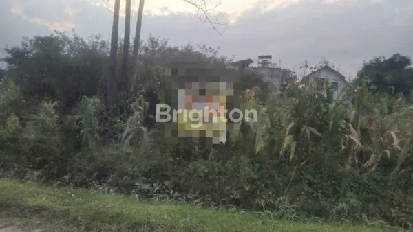 image TANAH 660 M SUDAH SIAP BANGUN (1)