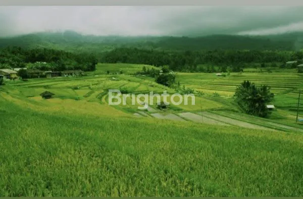 image TANAH LUAS 1500M² DI TAMAN DAYU, VIEW PEGUNUNGAN (1)