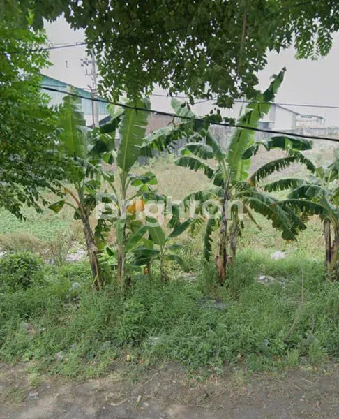 image TANAH KOMERSIAL STRATEGIS, LEBAR 55, DEKAT PERGUDANGAN, AKSES JALAN KONTAINER 40FIT, NOL JALAN RAYA LINGKAR TIMUR, CANDI, SIDOARJO (1)