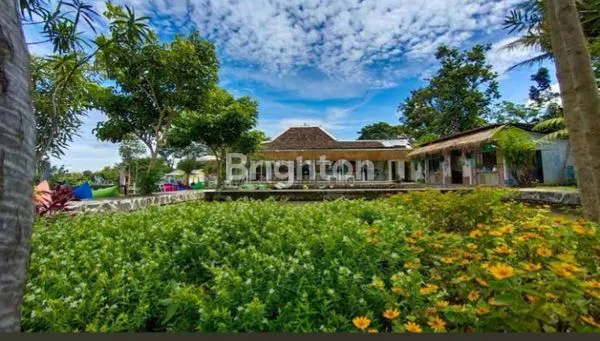 image RUMAH VILLA MEWAH DI KARANGPANDAN, LT 2300M² (3)