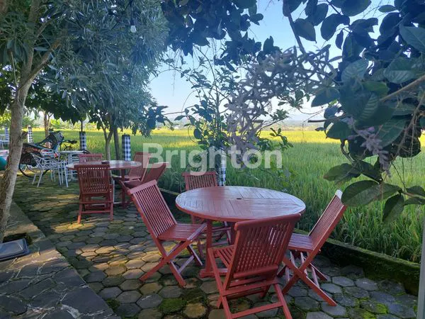 image RUMAH VILLA MEWAH DI KARANGPANDAN, LT 2300M² (5)