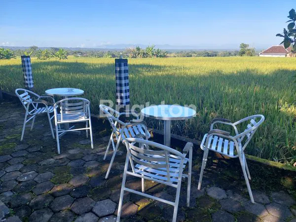 image RUMAH VILLA MEWAH DI KARANGPANDAN, LT 2300M² (6)