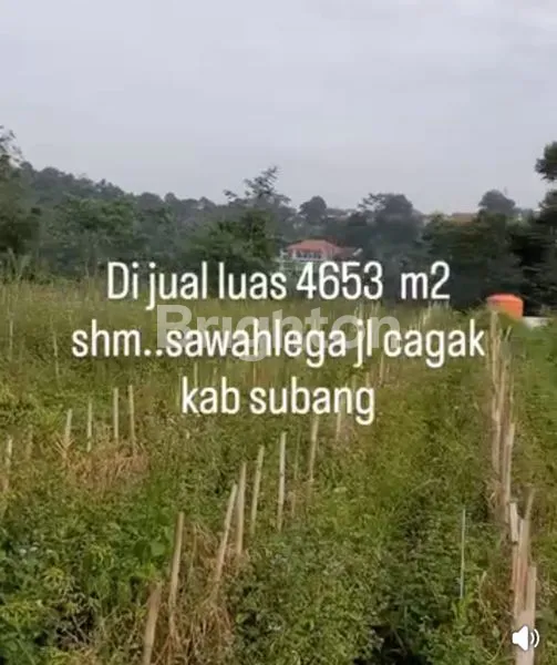 image TANAH SIAP BANGUN DI JL.RAYA SAGALAHERANG, SUBANG (1)