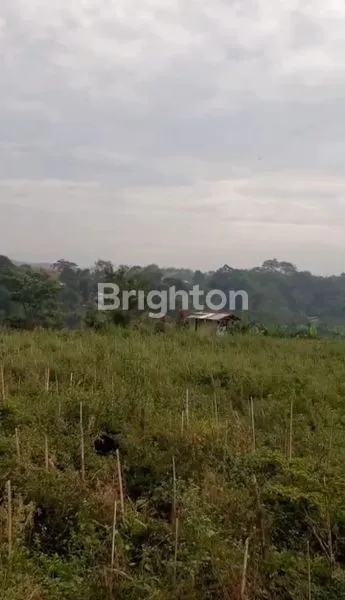 image TANAH SIAP BANGUN DI JL.RAYA SAGALAHERANG, SUBANG (4)