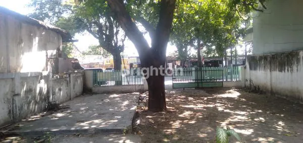 image RUMAH 0 JALAN RAYA WIJAYA KUSUMA SITUBONDO (4)