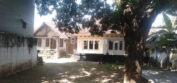 image RUMAH 0 JALAN RAYA WIJAYA KUSUMA SITUBONDO (1)