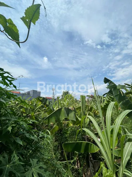 image DI SEWAKAN TANAH 2300 M2 DEKAT KAMPUS DAN PERTOKOAN DI KAWASAN PANJER DENPASAR SELATAN BALI (5)