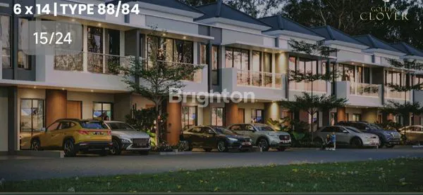 image GOLDEN CLOVER  (4)