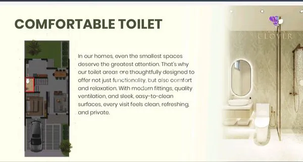 image GOLDEN CLOVER  (7)