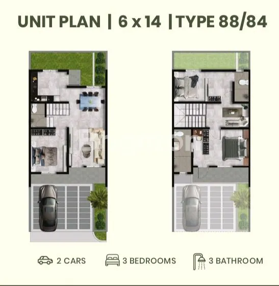 image GOLDEN CLOVER  (6)