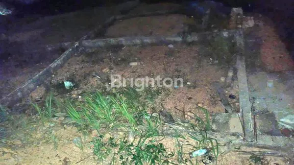 image PUNGGUR BIDA KABIL (1)