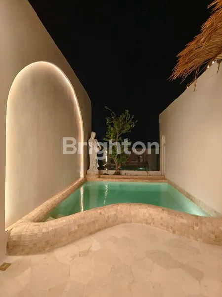 image VILLA ELEGANT FULLY FURNISHED AREA PADONAN CANGGU BALI (2)