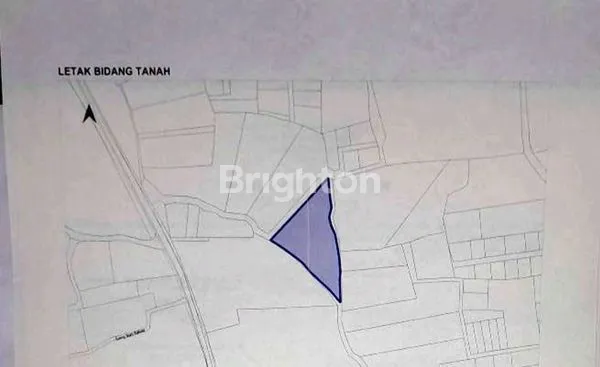 image TANAH DIJUAL 97 ARE DI KUTUH (3)