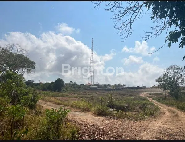 image TANAH DIJUAL 97 ARE DI KUTUH (7)