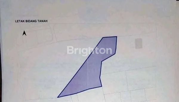 image TANAH DIJUAL 97 ARE DI KUTUH (5)