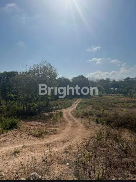 image TANAH DIJUAL 97 ARE DI KUTUH (6)