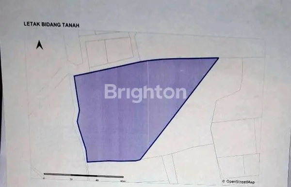 image TANAH DIJUAL 97 ARE DI KUTUH (4)