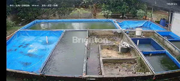 image CISEENG BOGOR (4)