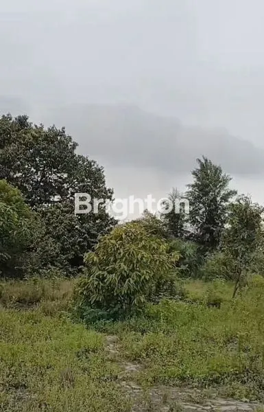 image GUDANG DAN TANAH LUAS JALAN MEDAN BINJAI (3)