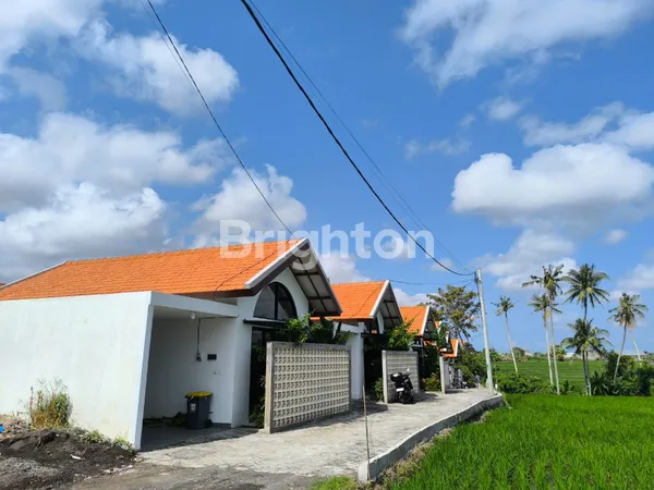image VILLA DISEWAKAN TAHUNAN DI SESEH MUNGGU 2 KAMAR TIDUR  DEKAT CANGGU (3)