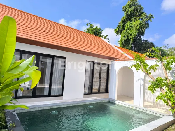 image VILLA DISEWAKAN TAHUNAN DI SESEH MUNGGU 2 KAMAR TIDUR  DEKAT CANGGU (7)