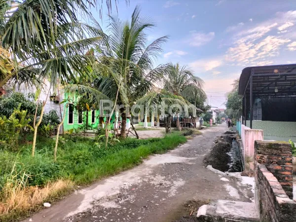 image TANAH MARELAN PASAR 4 BARAT  (4)