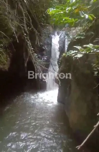 image TANAH PERKEBUNAN 100 - 320 HEKTAR DI TEMANGGUNG (5)