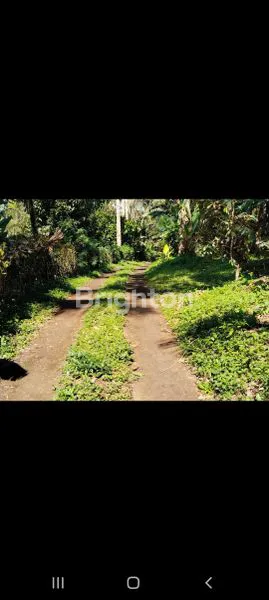 image JUAL TANAH (1)