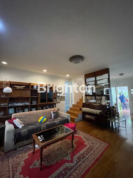 image PURI CINERE (4)