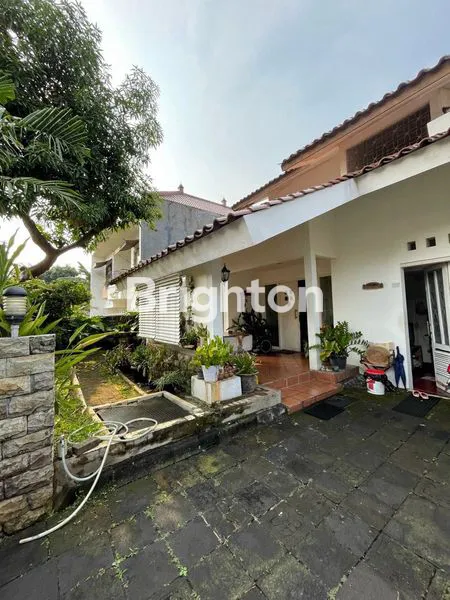 image PURI CINERE (7)