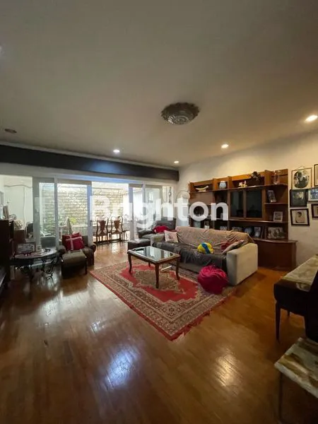 image PURI CINERE (2)