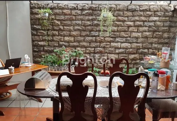 image PURI CINERE (5)