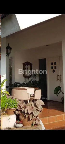 image PURI CINERE (1)