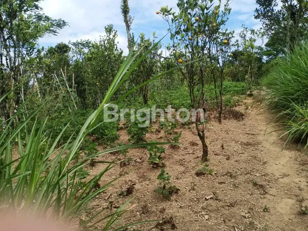 INVESTASI TANAH STRATEGIS DI BANGLI, SHM & HARGA TERJANGKAU