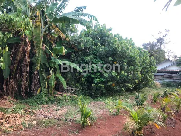 image TANAH. KOSONG (1)