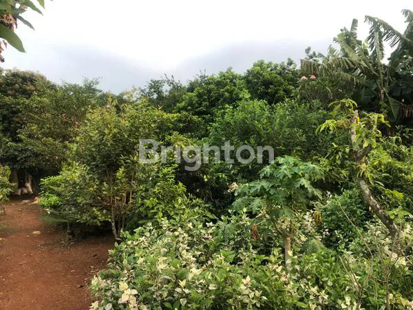 image TANAH. KOSONG (3)