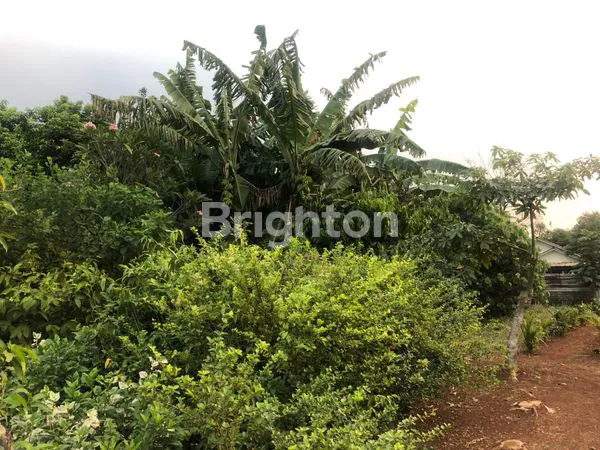 image TANAH. KOSONG (2)