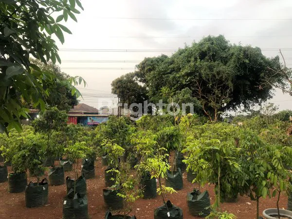 image TANAH. KOSONG (4)