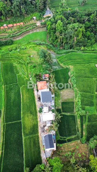 image INVESTASI VILLA DI UBUD, VIEW SAWAH & AKSES KE BEJI WATERFALL (6)